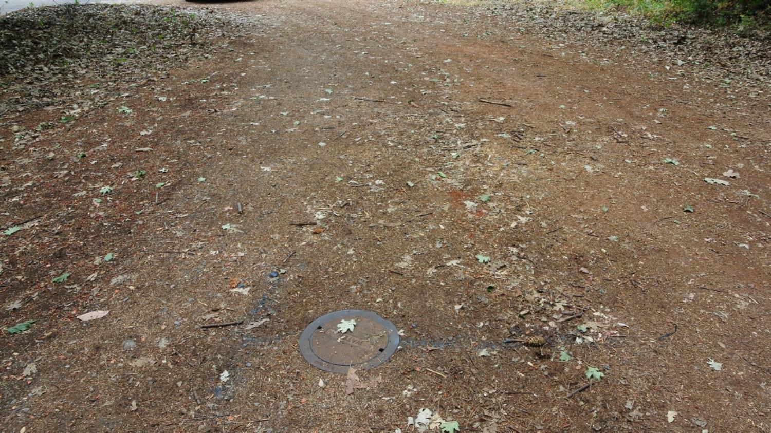 24825 Harrison Street Foresthill, CA 95631 - Photo 46 of 47