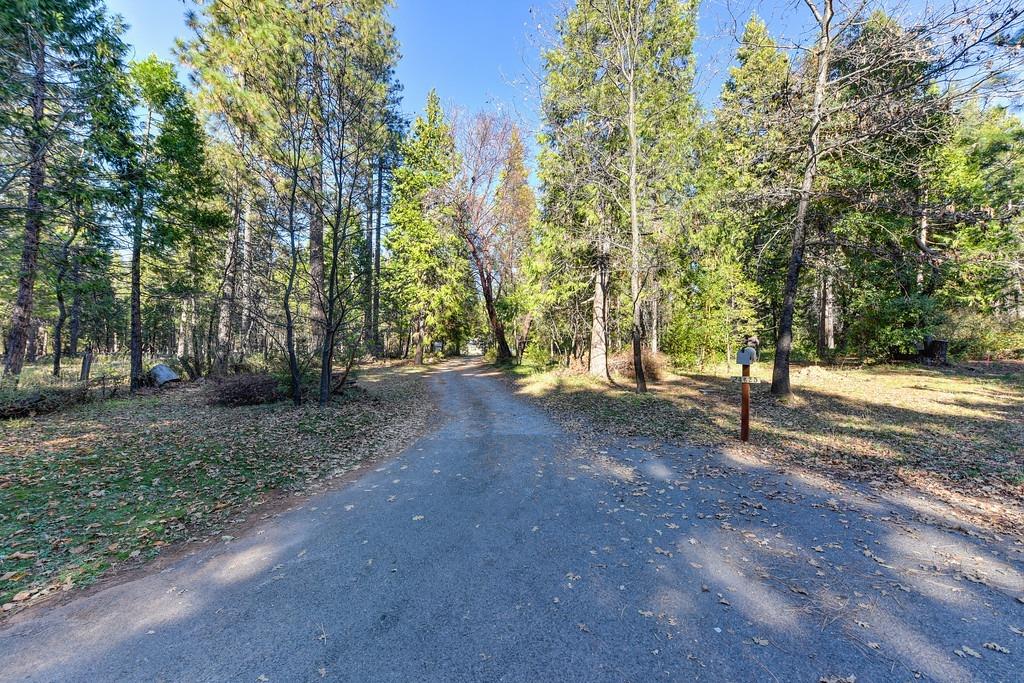 24825 Harrison Street Foresthill, CA 95631 - Photo 5 of 47 view of gravel road with a view of trees