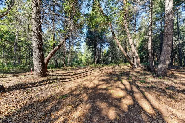 a view of outdoor space and trees