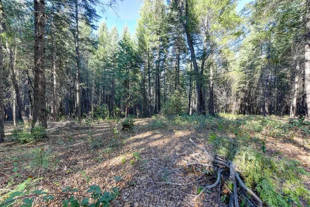 a view of outdoor space with trees