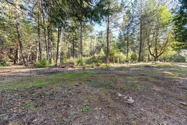 a view of a city with lush green forest