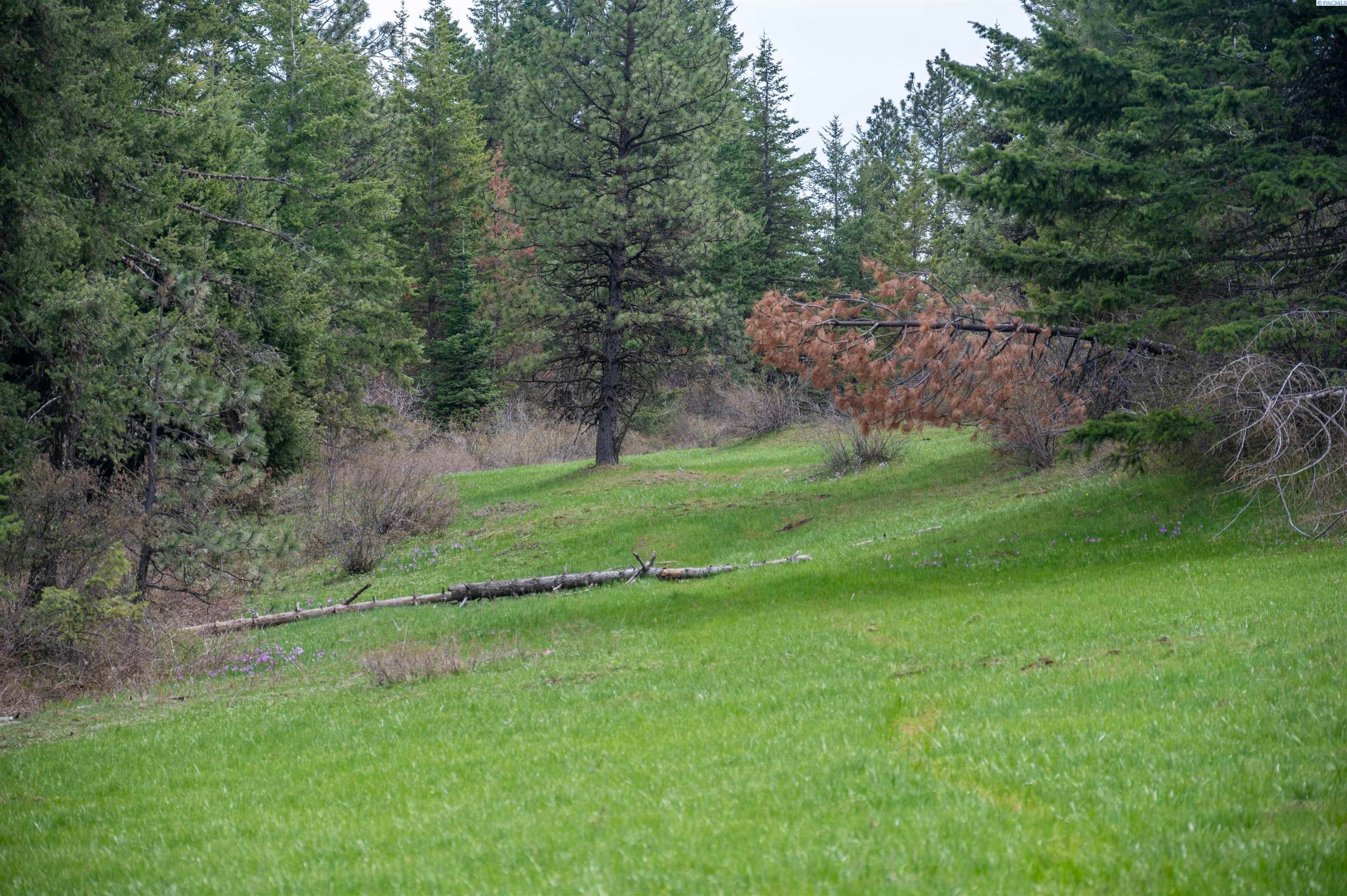 Unk20 Blacksnake Ridge Road Walla Walla, WA 99362 - Photo 16 of 41 Gallery Image 16