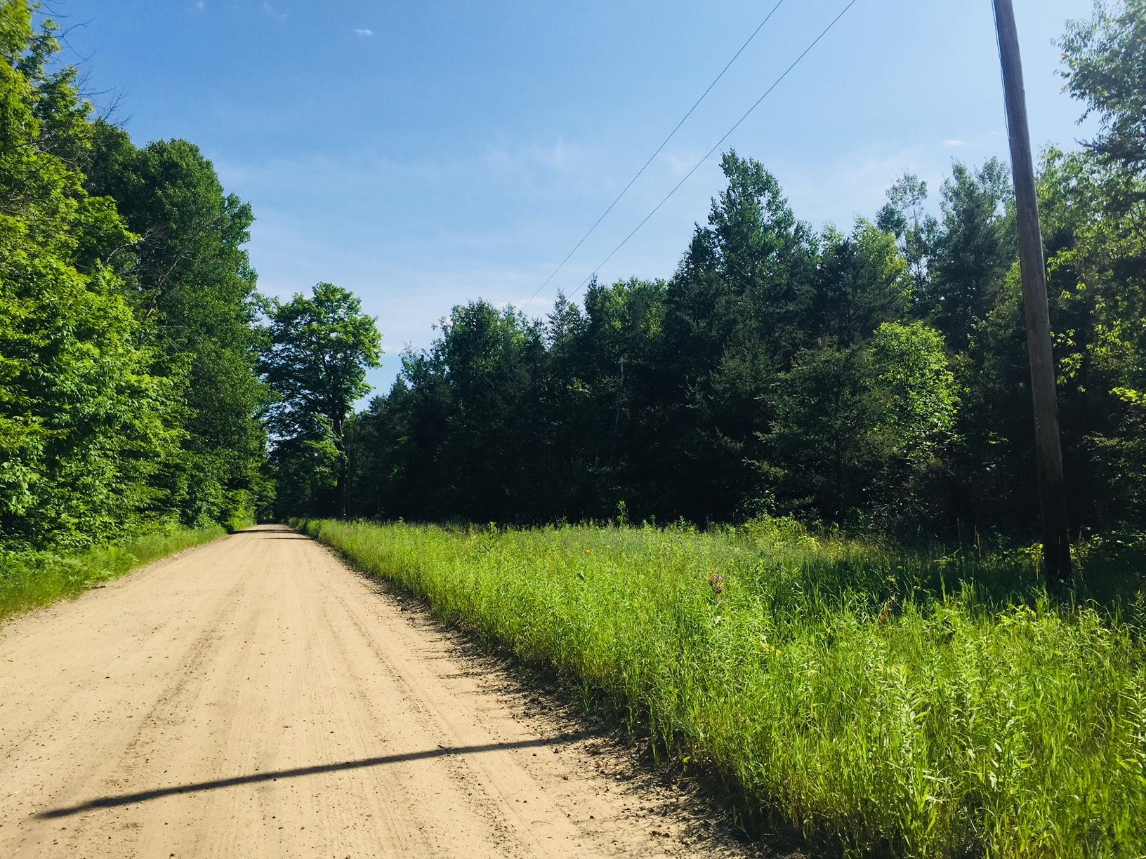 North Weaver Road Frederic, MI 49733 - Photo 7 of 8 Gallery Image 7