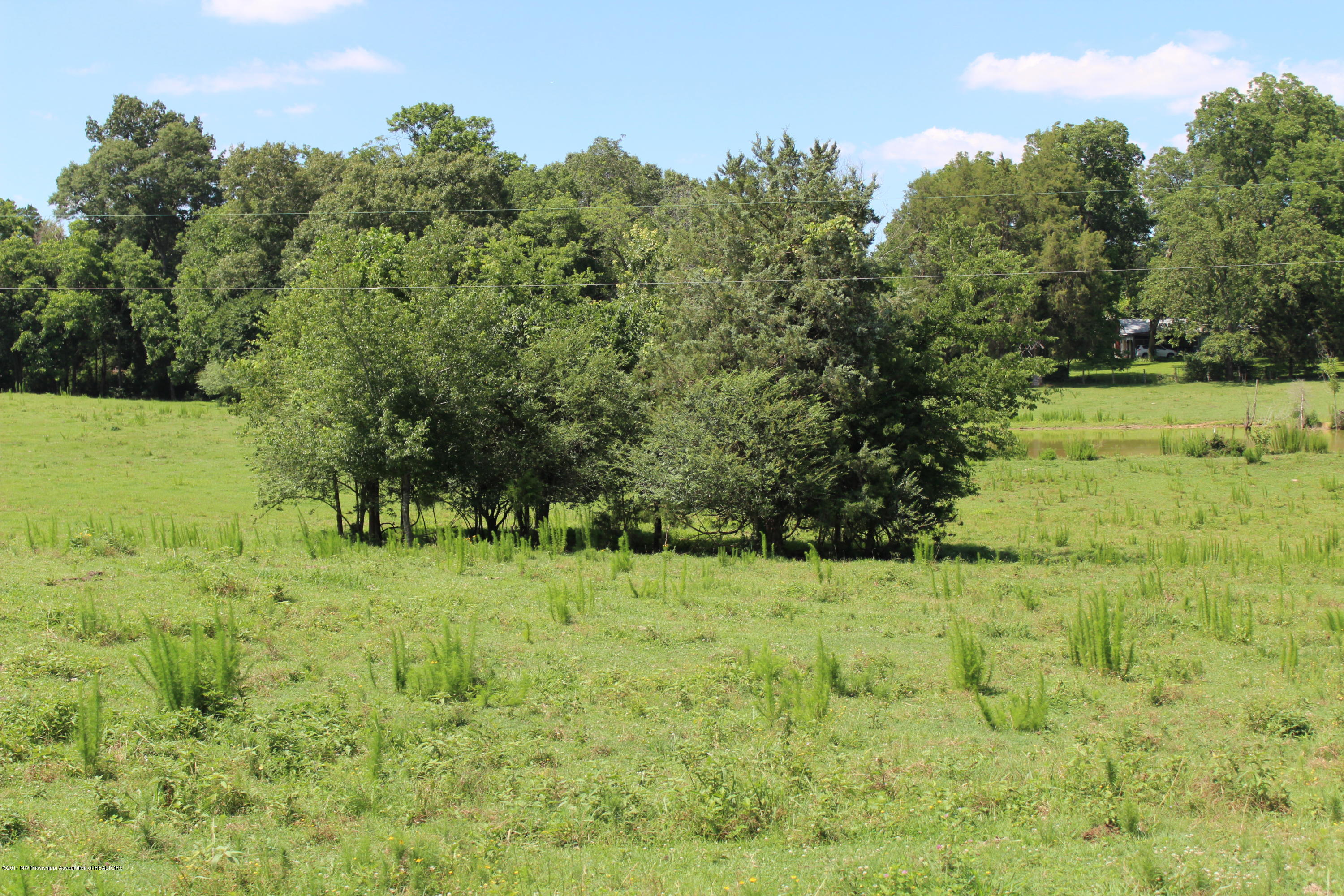 915 South Craft Road Hernando, MS 38632 - Photo 2 of 6 lot 3 shot 4