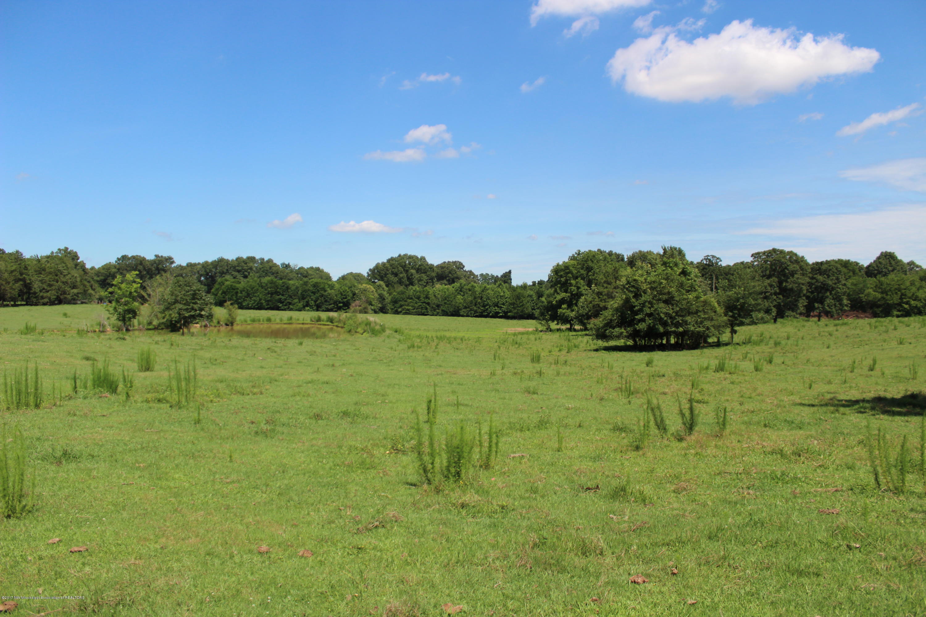 915 South Craft Road Hernando, MS 38632 - Photo 3 of 6 lot 3 shot 2