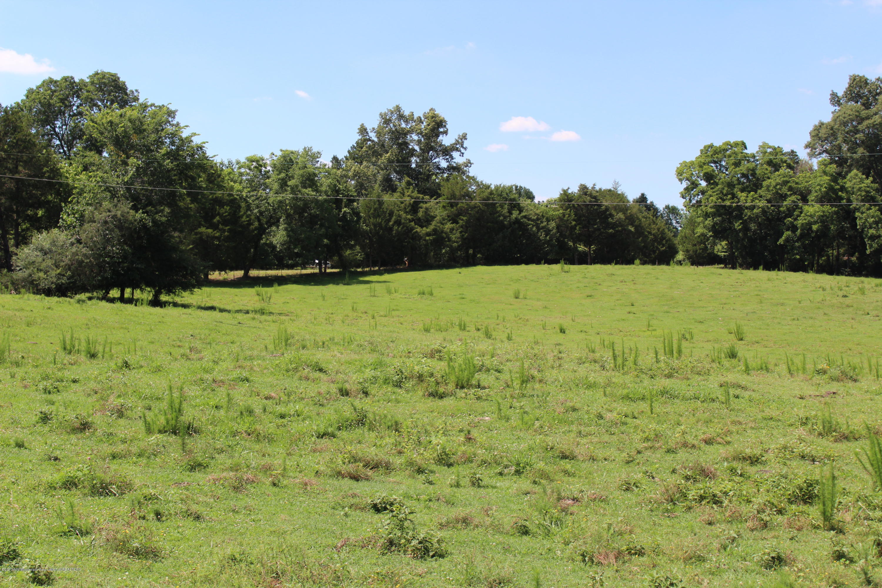 915 South Craft Road Hernando, MS 38632 - Photo 4 of 6 lot 3 shot 1