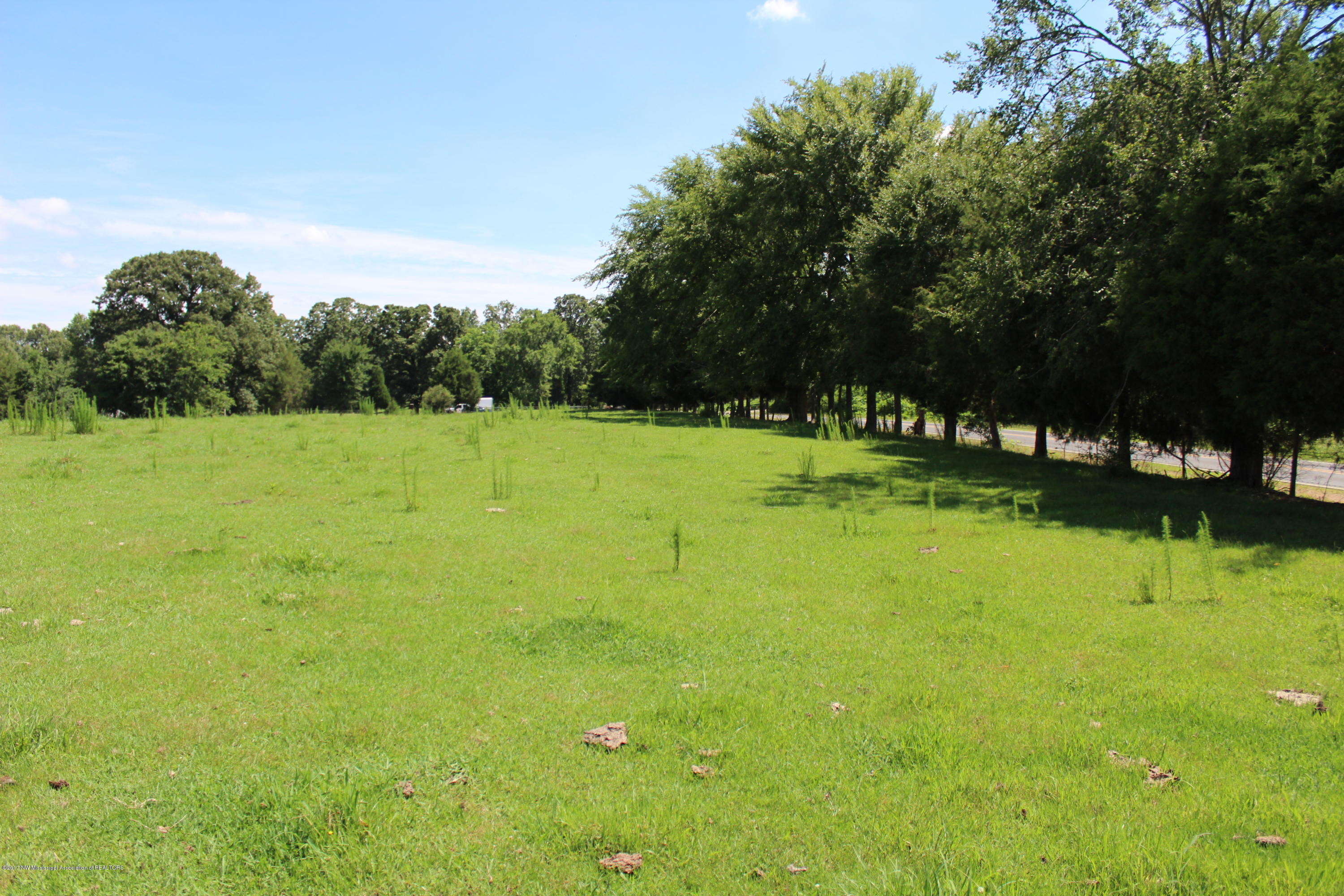 915 South Craft Road Hernando, MS 38632 - Photo 5 of 6 lot 3 shot 3