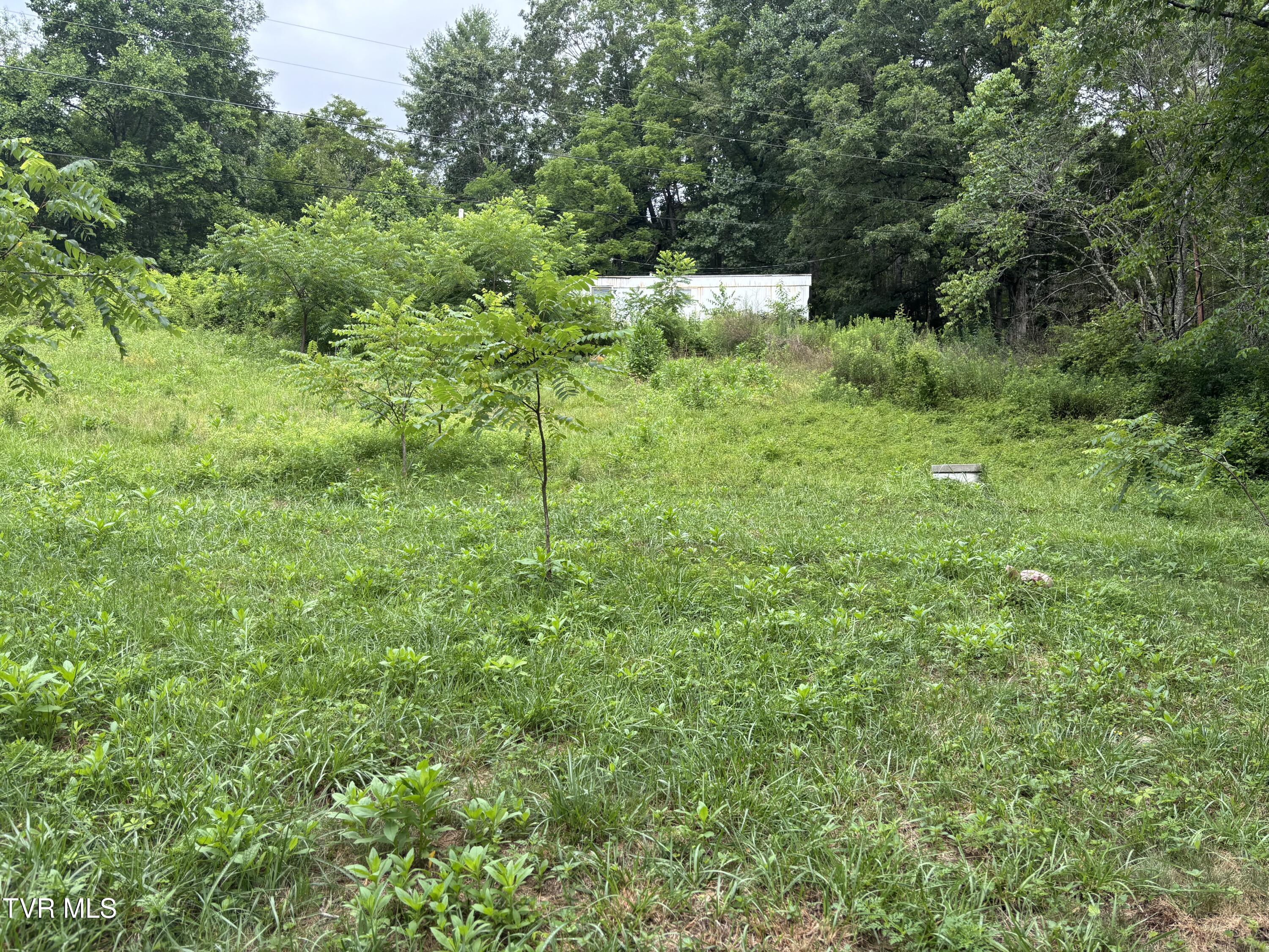 Tbd Fire Tower Road, Unit 1 Mountain City, TN 37683 - Photo 1 of 4 IMG_4754