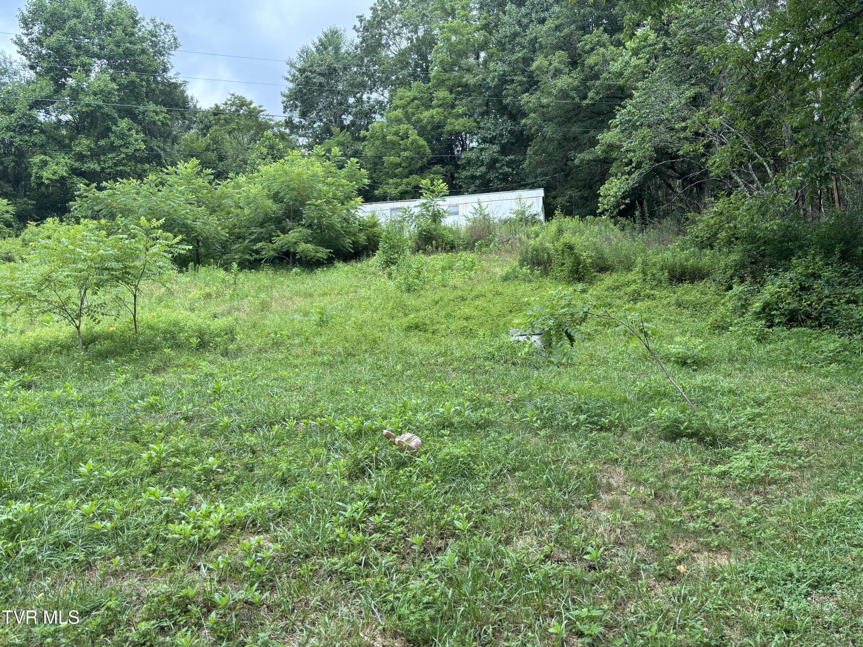Tbd Fire Tower Road, Unit 1 Mountain City, TN 37683 - Photo 3 of 4 IMG_4756