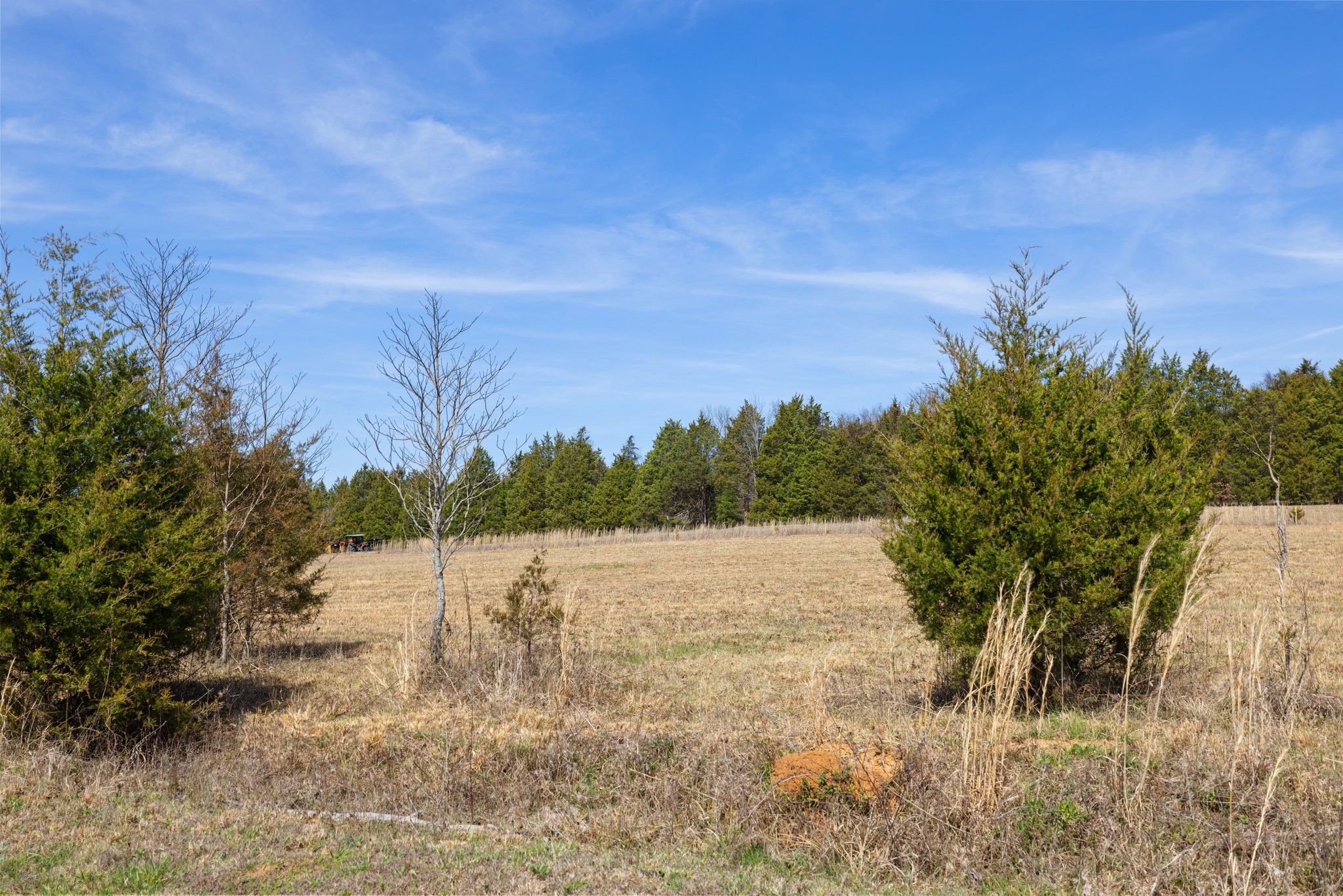 3487 Tobe Robertson Road Columbia, TN 38401 - Photo 52 of 63 Gallery Image 52