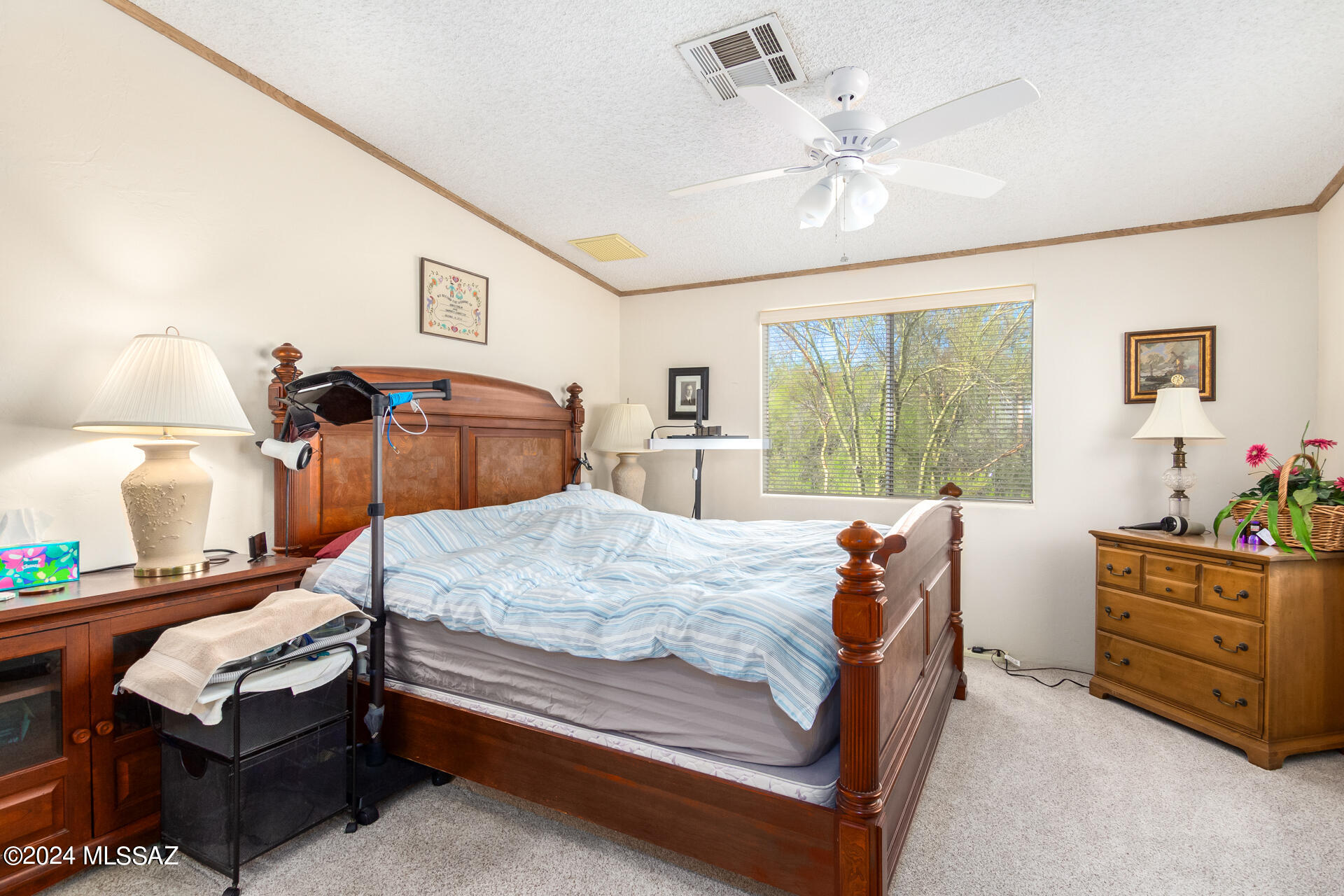 6207 North Van Ark Road Tucson, AZ 85743 - Photo 20 of 50 Gallery Image 20