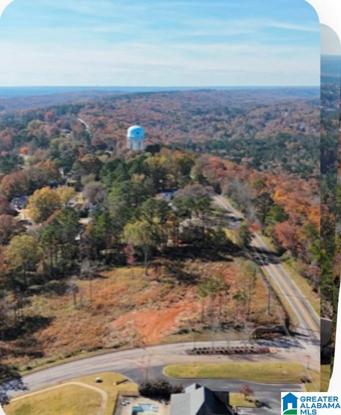 4915 South Shades Crest Road, Unit A Helena, AL 35022 - Photo 3 of 6