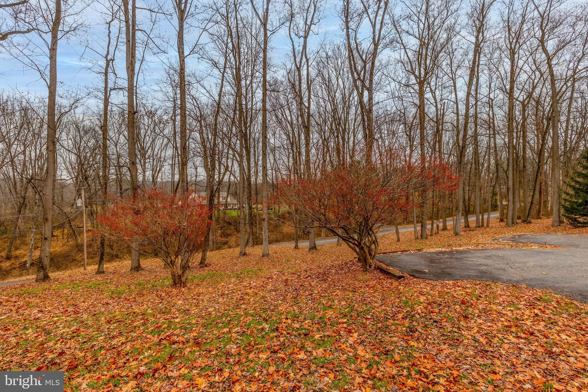 71 Miller Park Road Milford, NJ 08848 - Photo 25 of 28 Gallery Image 25