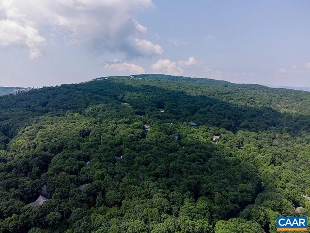 a view of a bunch of trees in a field