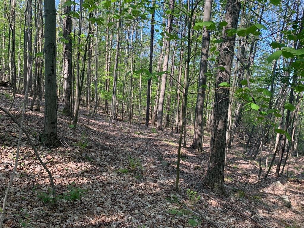 John B Hewitt Spur Denver, NY 12421 - Photo 2 of 6