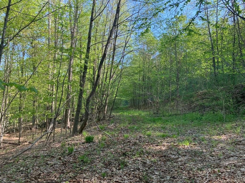 John B Hewitt Spur Denver, NY 12421 - Photo 5 of 6