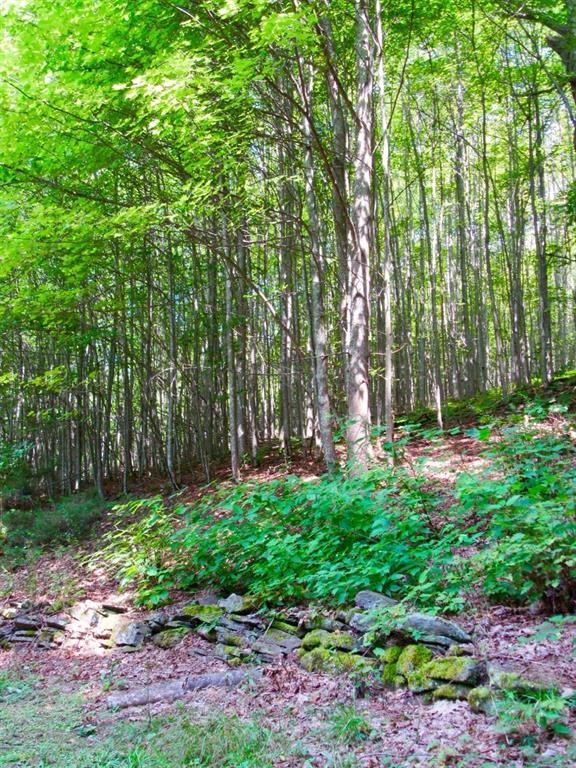 John B Hewitt Spur Denver, NY 12421 - Photo 6 of 6