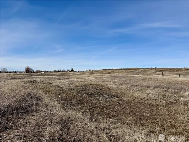 a view of a large mountain with trees in the background