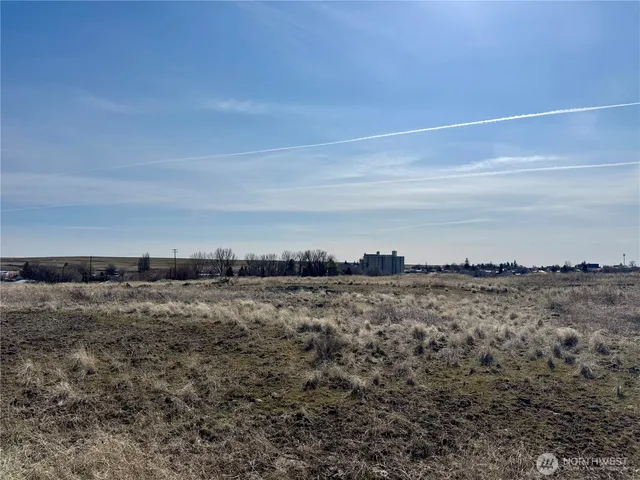 a view of a dry yard with wooden floor and fence