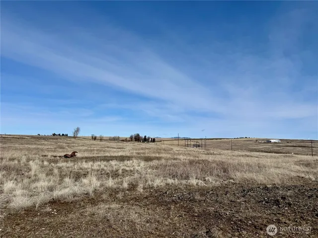 a view of an ocean beach