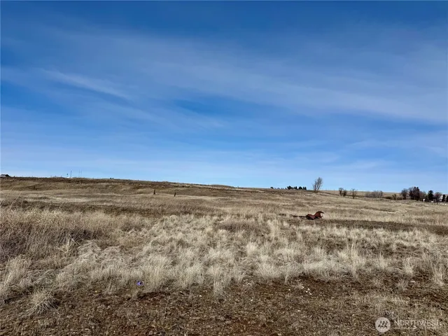 a view of ocean and mountain