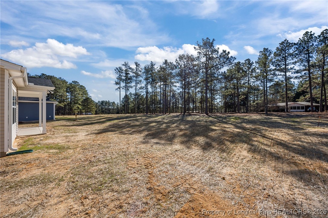 785 Quewhiffle (lot 3) Road Aberdeen, NC 28315 - Photo 43 of 50 a view of road with trees