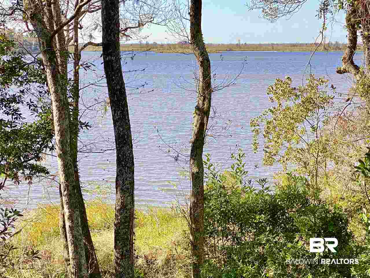 General Canby Loop Daphne, AL 36527 - Photo 3 of 10