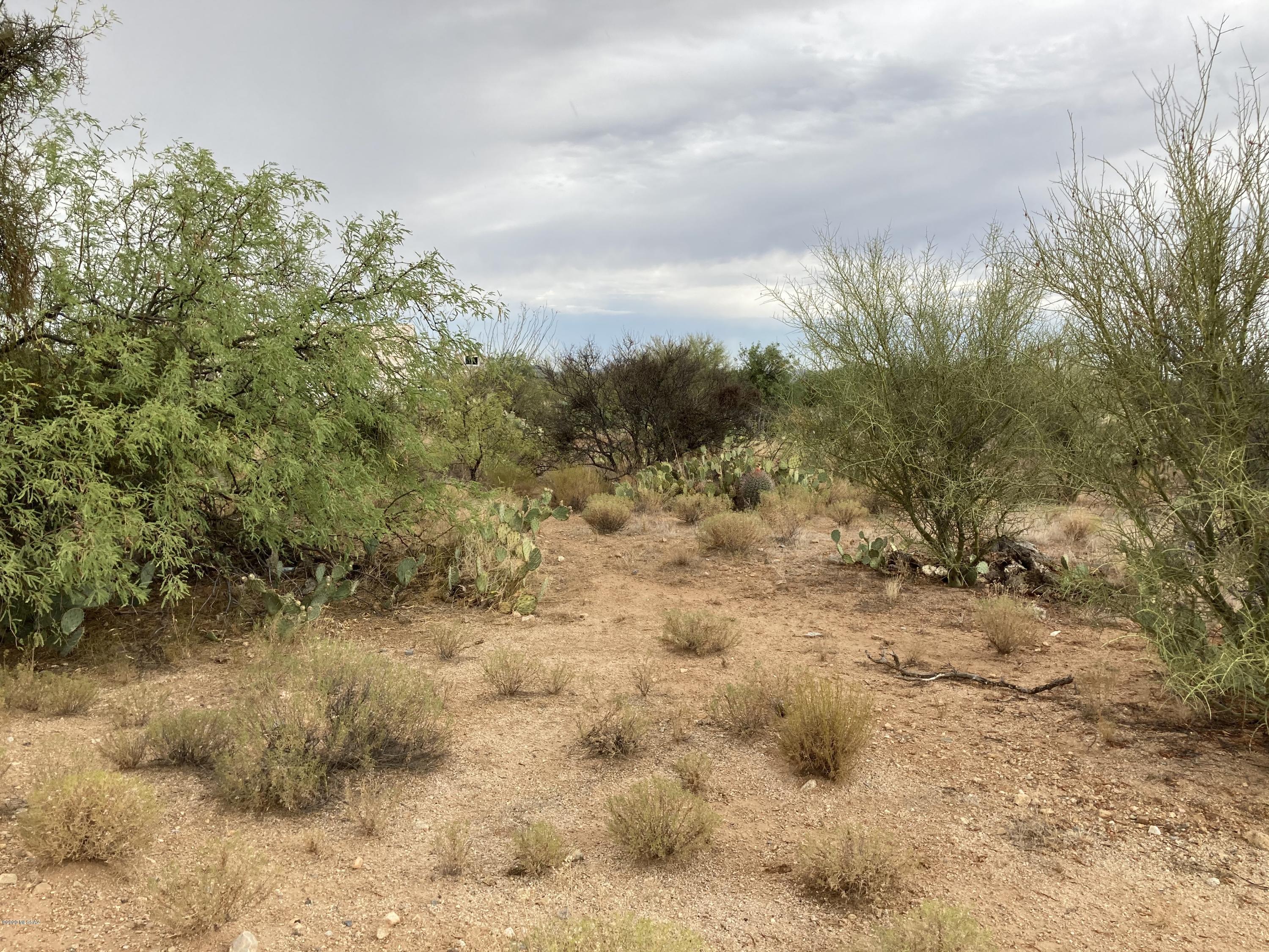 16164 West Lynnette Road, Unit 311 Tucson, AZ 85736 - Photo 3 of 4