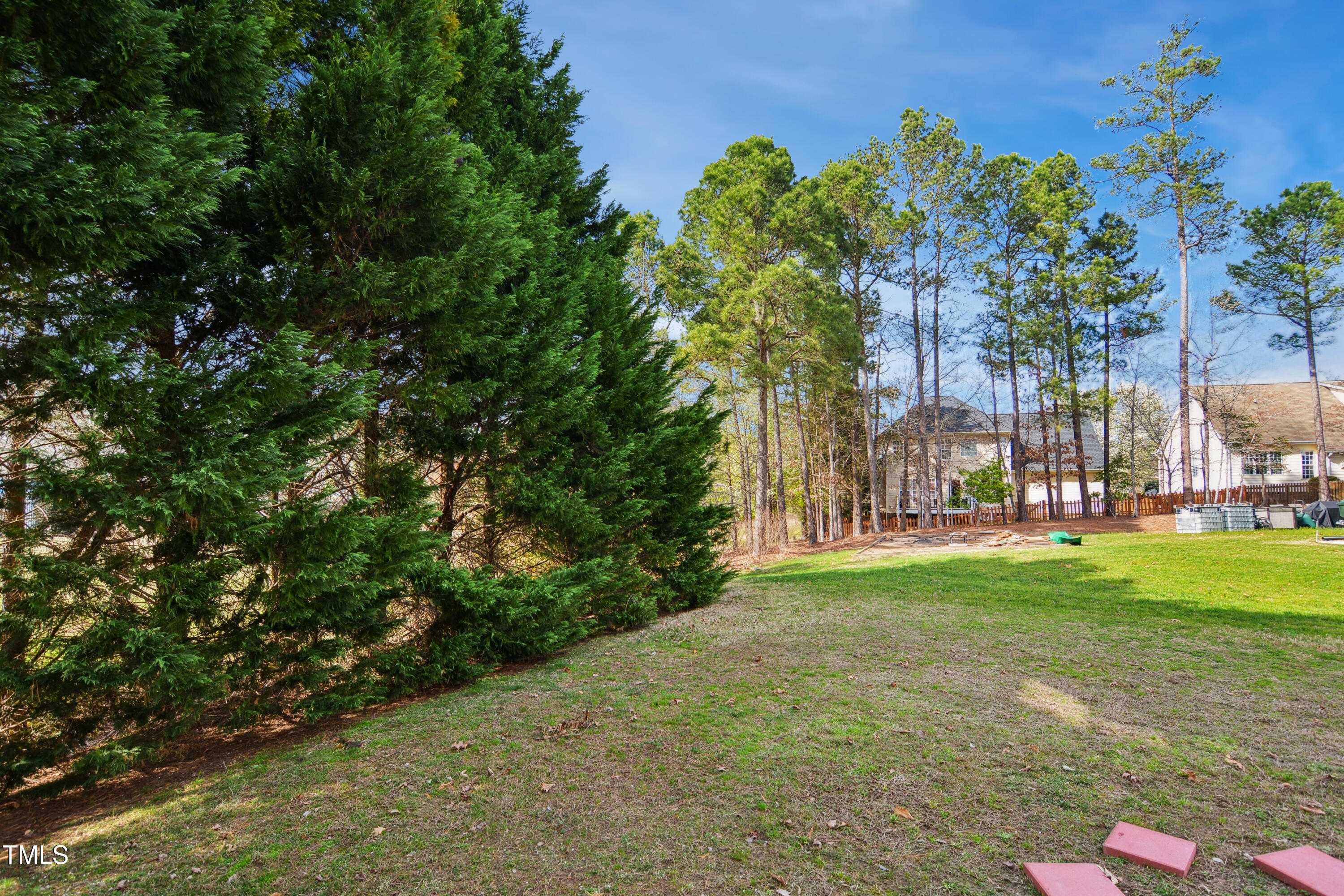 101 Whitney Lane Durham, NC 27713 - Photo 27 of 28 a view of a park with large trees