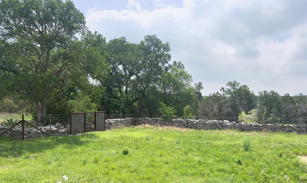 1366 Narrows Road, Unit 1 Blanco, TX 78606 - Photo 4 of 29