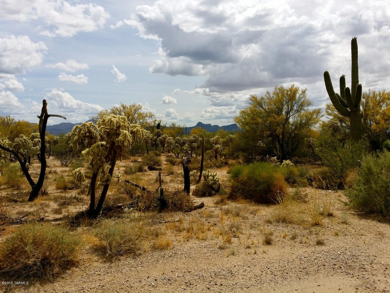 0 West Twin Peaks Road Tucson, AZ 85742 - Photo 11 of 13 a view of a yard with a tree