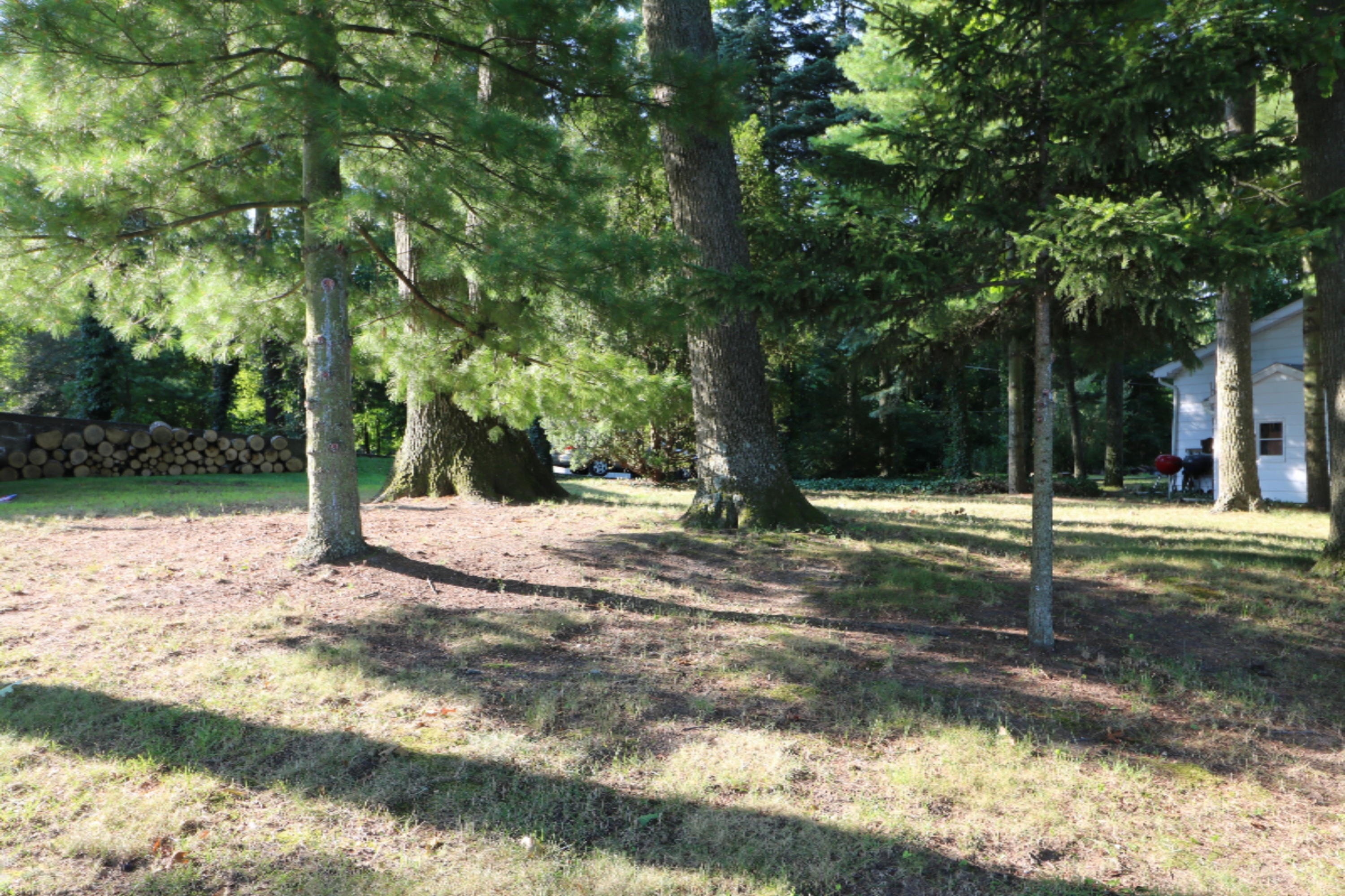 30796 Polk Road Dowagiac, MI 49047 - Photo 5 of 13 Cleared with mature trees