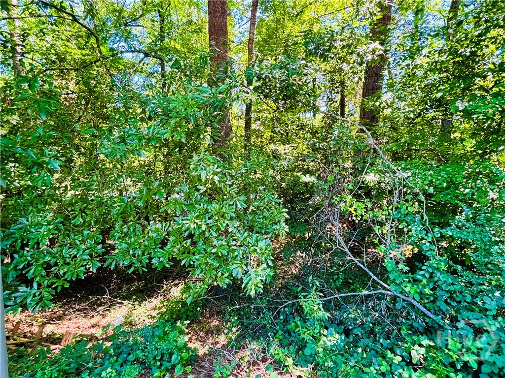 110 Saxon Woods Drive Athens, GA 30607 - Photo 32 of 33