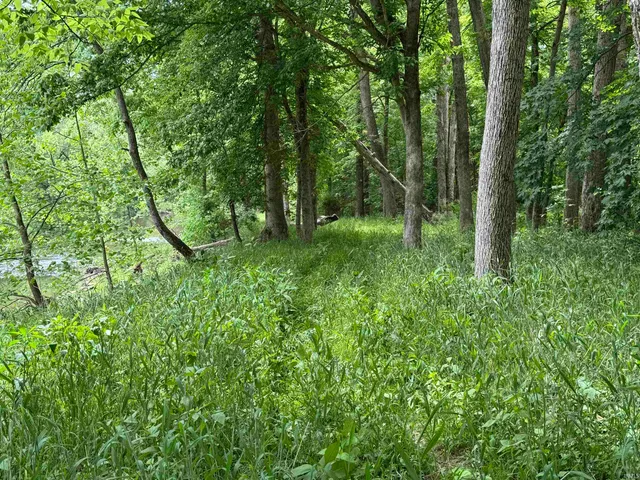 $420,000 | 0 West Cades Hollow Road, Veedersburg, IN 47987