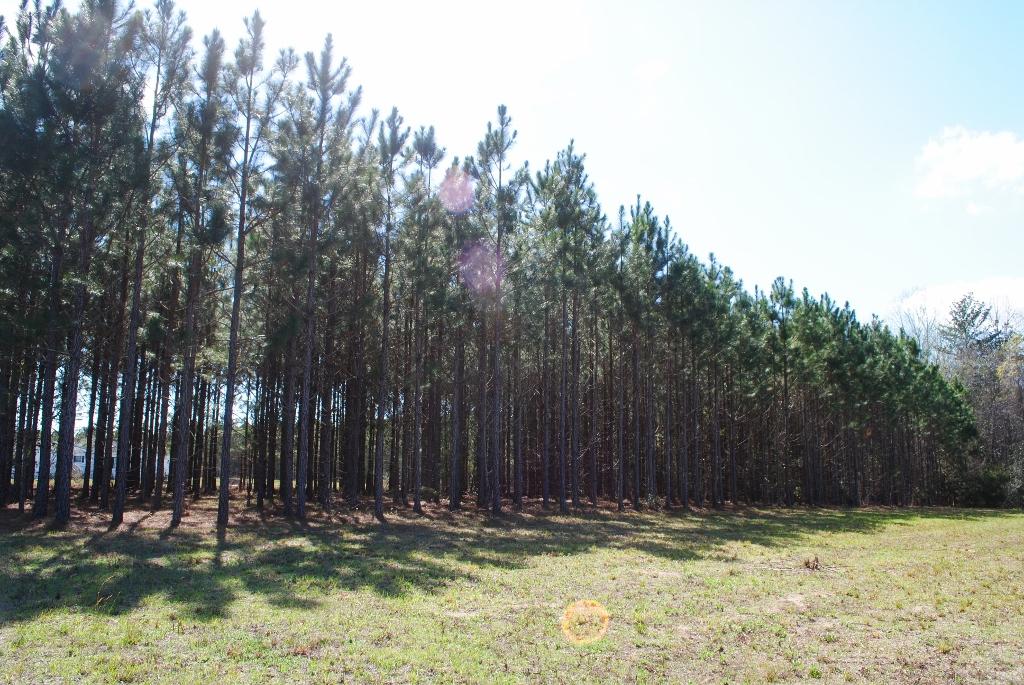 1047 Lee Road Pembroke, GA 31321 - Photo 34 of 120 DSC_0646 (1024x685)