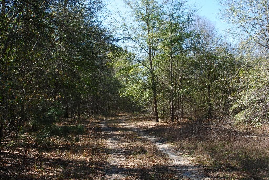 1047 Lee Road Pembroke, GA 31321 - Photo 54 of 120 DSC_0666 (1024x685)