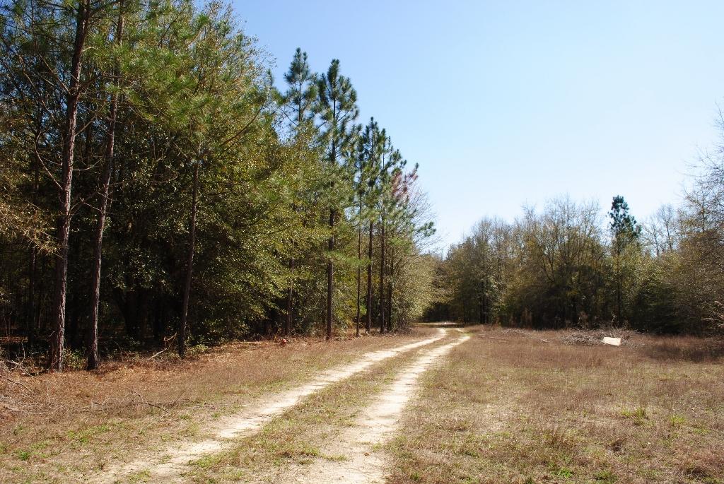 1047 Lee Road Pembroke, GA 31321 - Photo 57 of 120 DSC_0669 (1024x685)