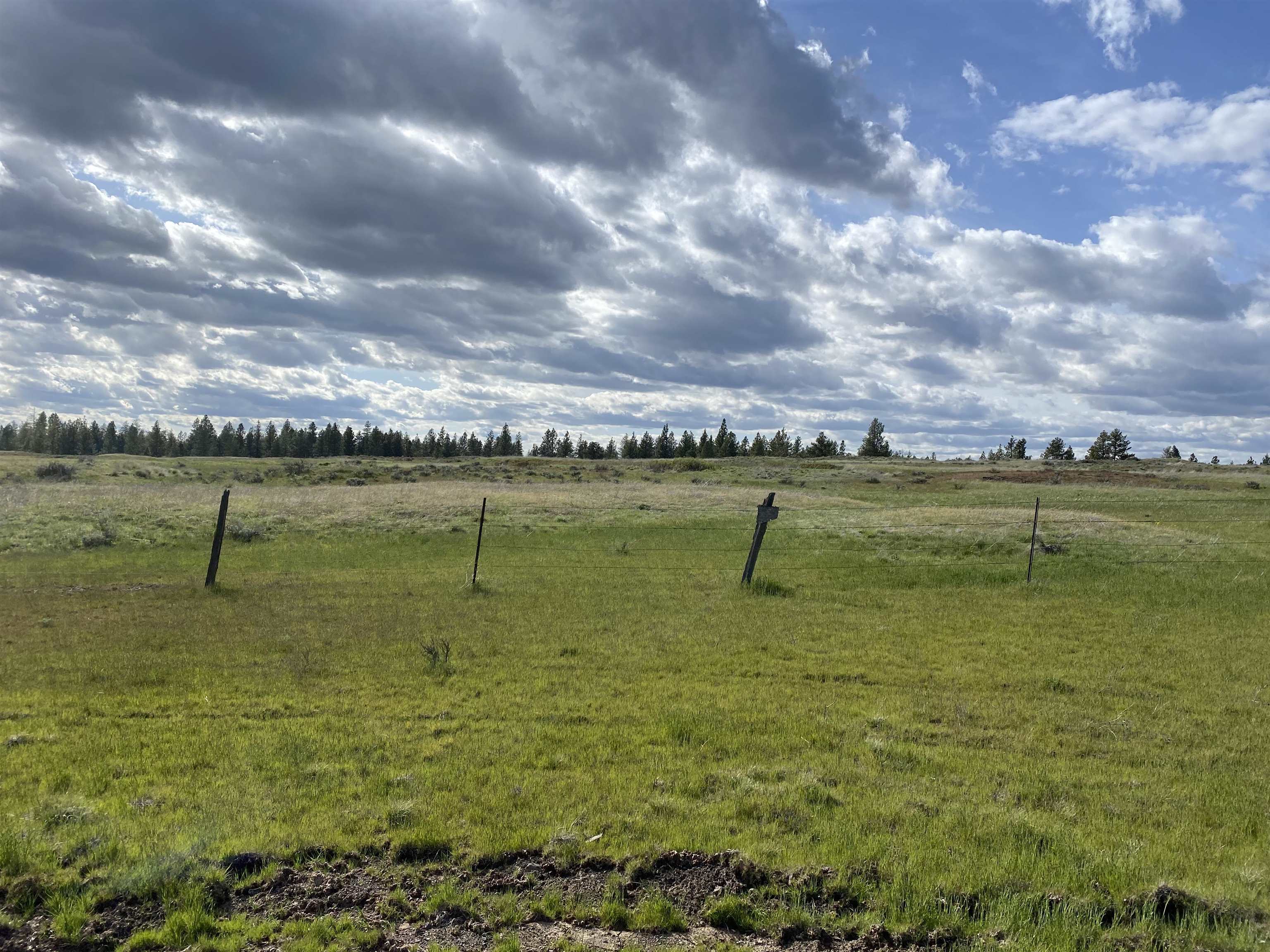 Xxx South Rock Lake Road Cheney, WA 99004 - Photo 1 of 12