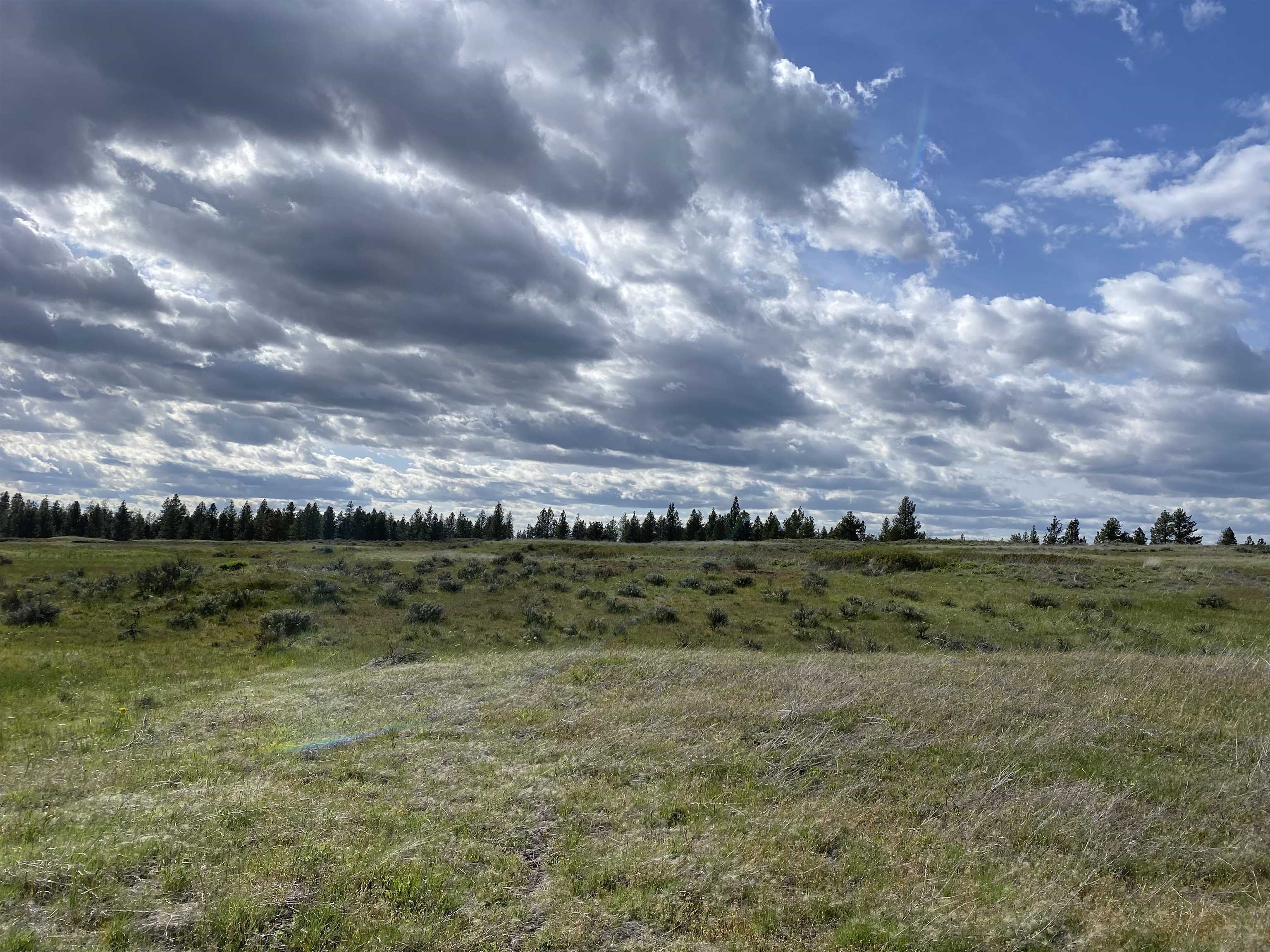 Xxx South Rock Lake Road Cheney, WA 99004 - Photo 4 of 12