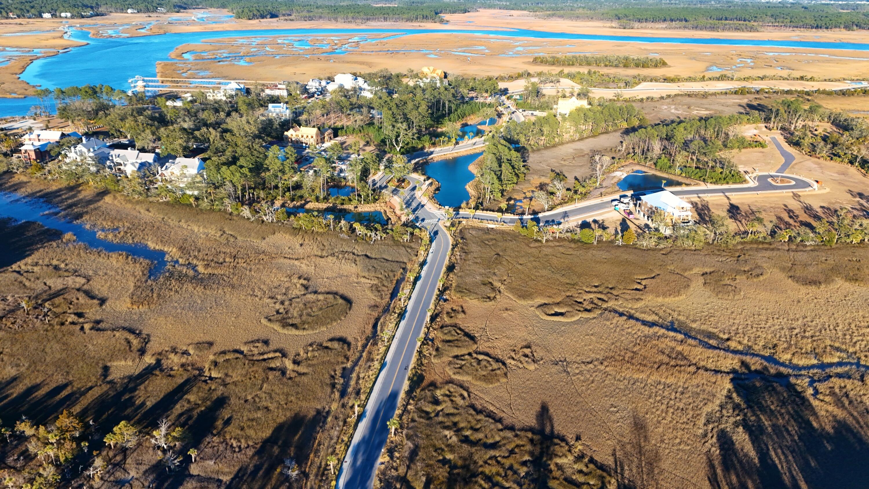 1149 Ship Builder Street Daniel Island, SC 29492 - Photo 15 of 18 Ella - Retreat Aerial from Lesesne