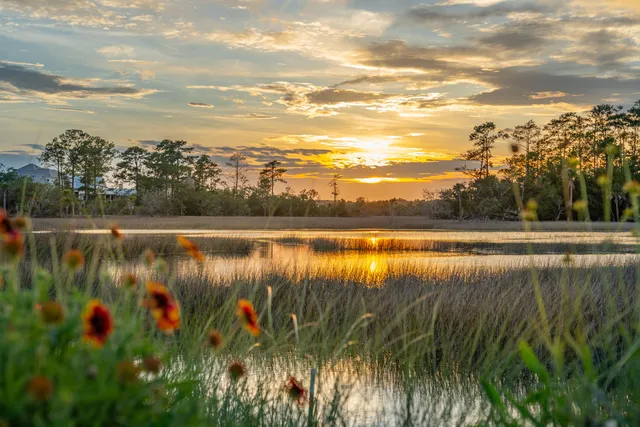 $3,695,000 | 1149 Ship Builder Street, Daniel Island, SC 29492