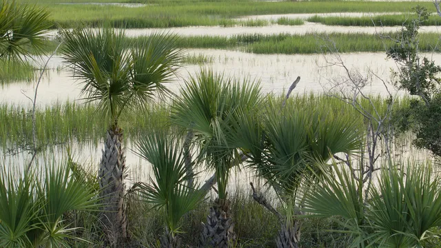 $3,695,000 | 1149 Ship Builder Street, Daniel Island, SC 29492