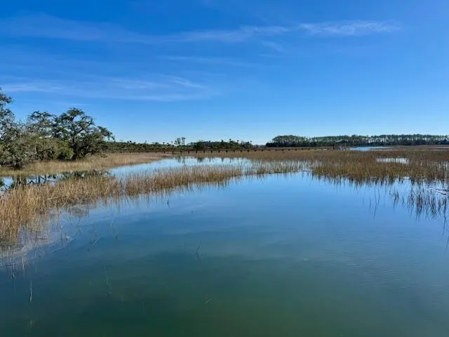 $3,695,000 | 1149 Ship Builder Street, Daniel Island, SC 29492