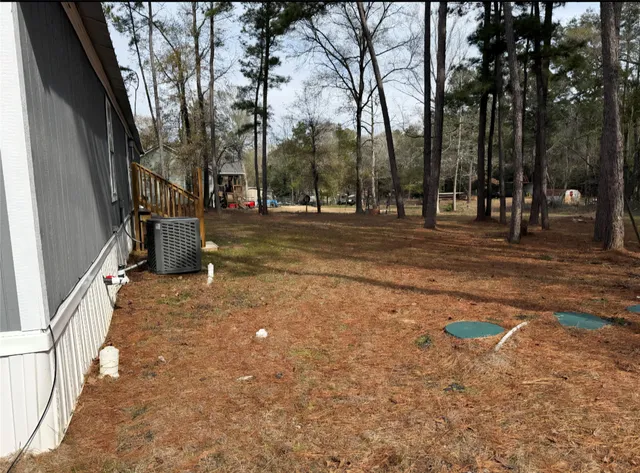 a view of a park with large trees