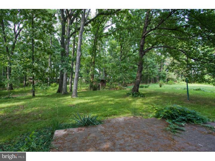 1703 Almshouse Road Jamison, PA 18929 - Photo 18 of 25 Gallery Image 18