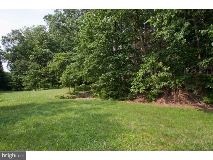 1703 Almshouse Road Jamison, PA 18929 - Photo 23 of 25 Gallery Image 23