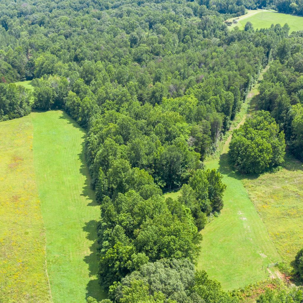 Crumptown Road Farmville, VA 23901 - Photo 2 of 32 Gallery Image 2