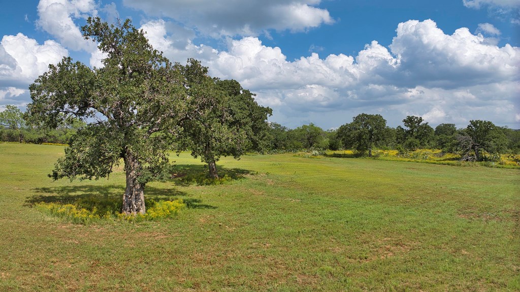 2165 East Ranch Road Mason, TX 76856 - Photo 46 of 57 Gallery Image 46