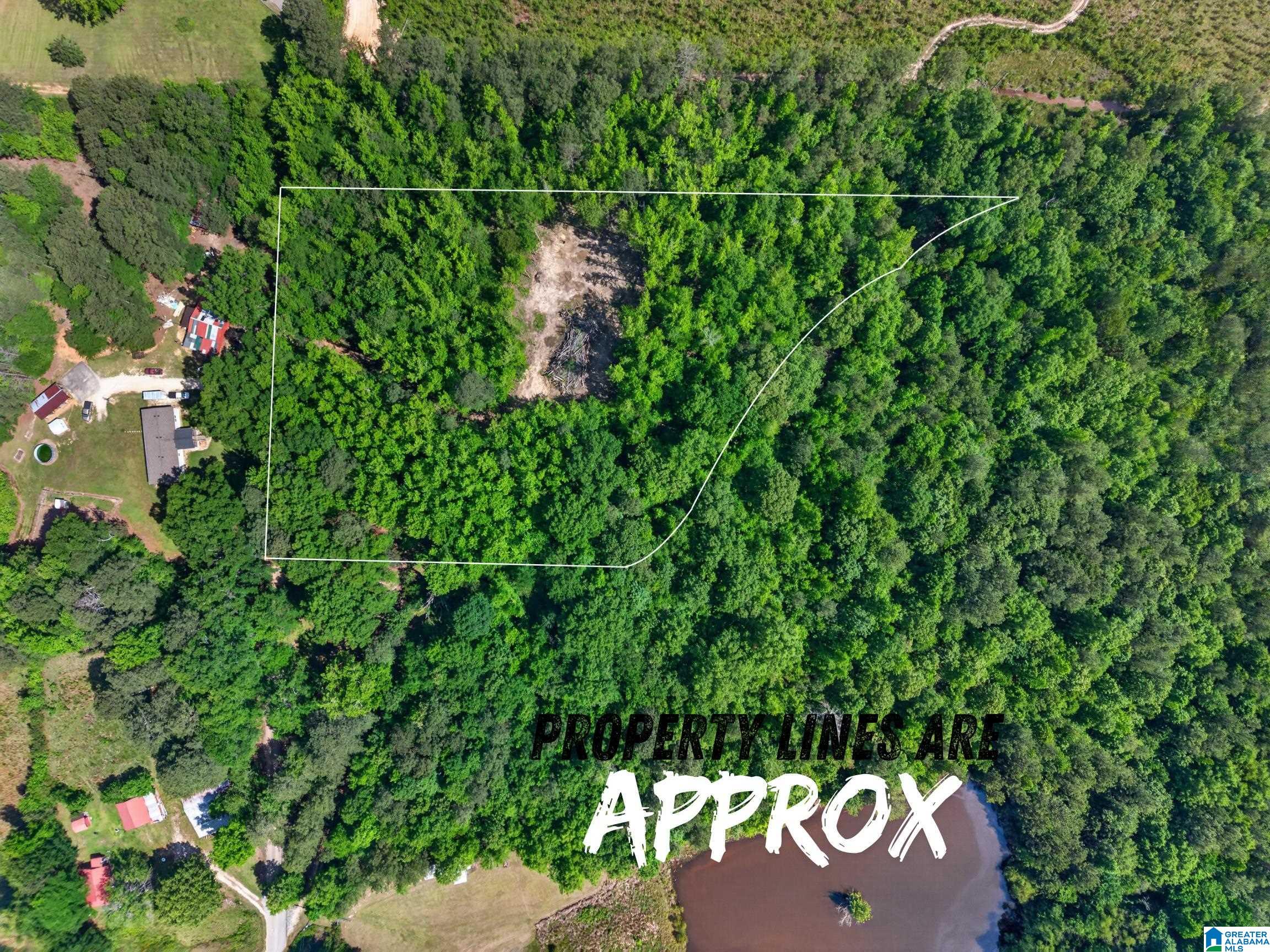 0 Pruitt Road Piedmont, AL 36272 - Photo 1 of 13