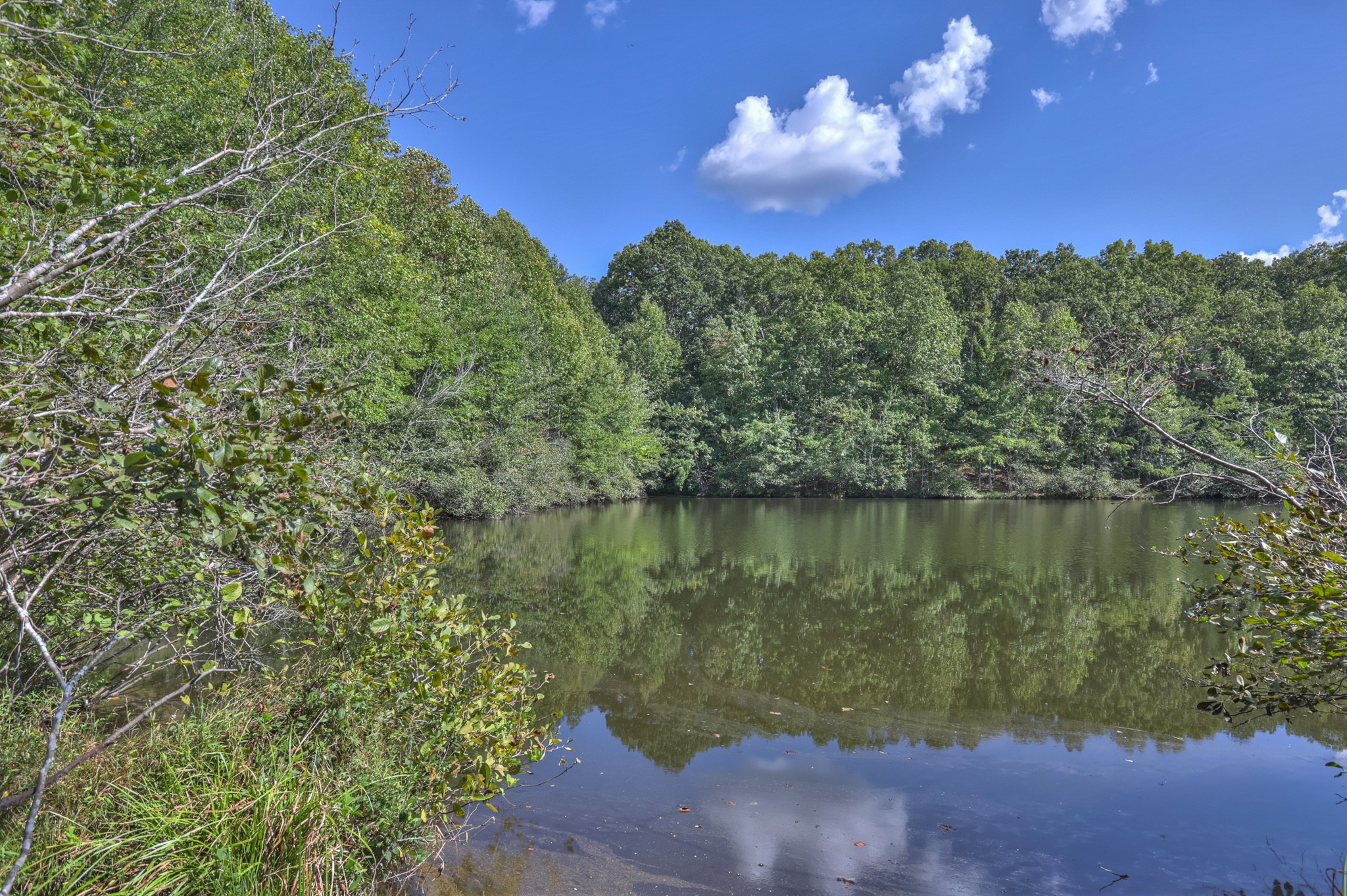4000 Jumpoff Road Sewanee, TN 37375 - Photo 6 of 68 Gallery Image 6